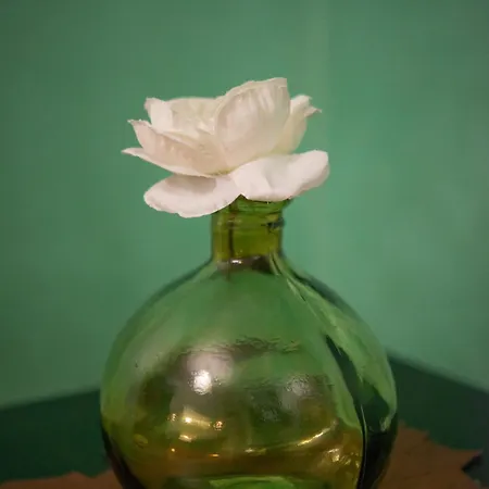 Domus Diana Vendégház