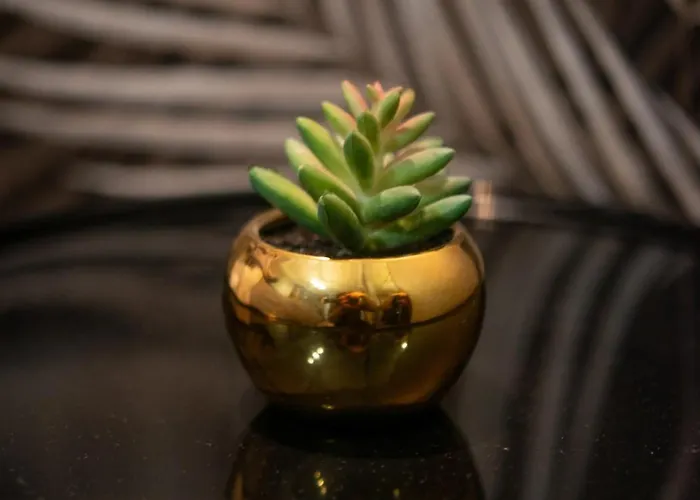 Domus Diana Gæstehus Rom