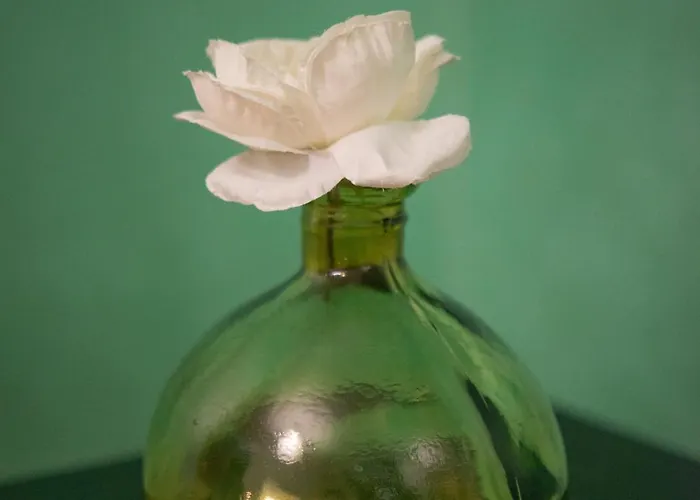 Domus Diana Gæstehus